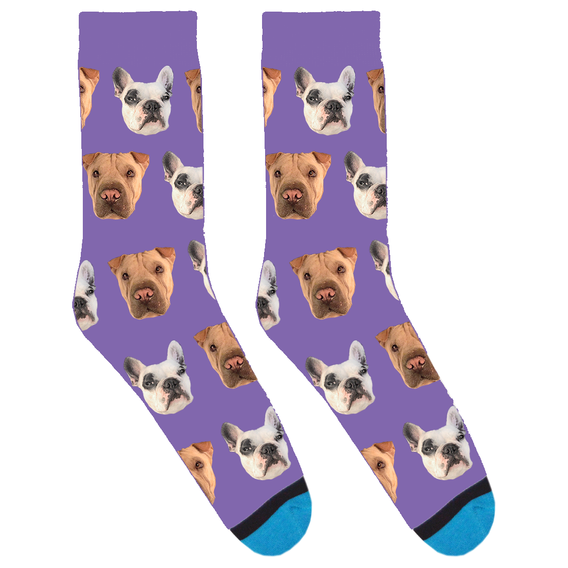 Walter Geoffrey and Maddy Socks