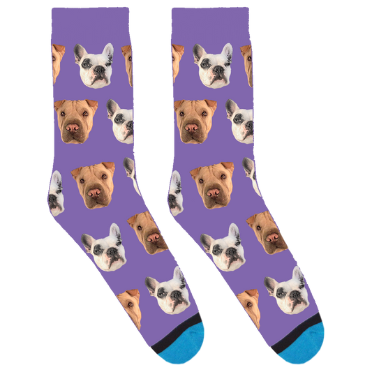 Walter Geoffrey and Maddy Socks