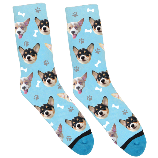 Wesly the Corgi Socks